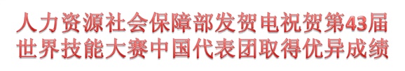 人力資源社會保障部發(fā)賀電祝賀第43屆世界技能大賽中國代表團(tuán)取得優(yōu)異成績