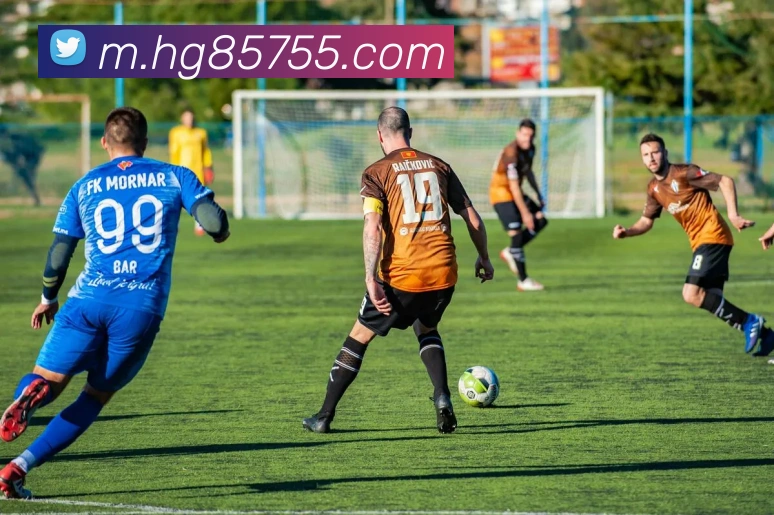 皇冠网官网平台生态图